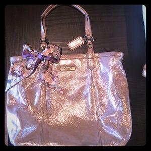 Authentic Coach Specialty Shimmer Bag. Large size