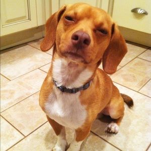 Bundle🎉🎉🎉🎉💗