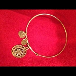 Used Compass Alex and Ani