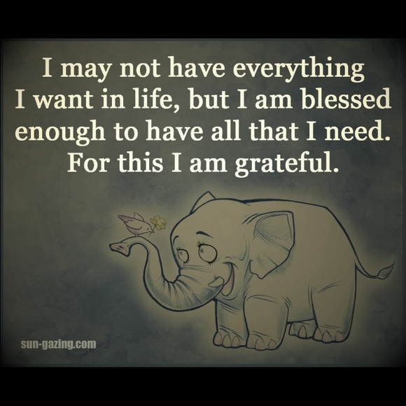 Hello 2022🌹 - Picture 3 of 4