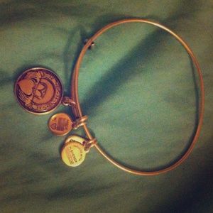 1 HOUR SALE ❗️Alex and Ani bracelet