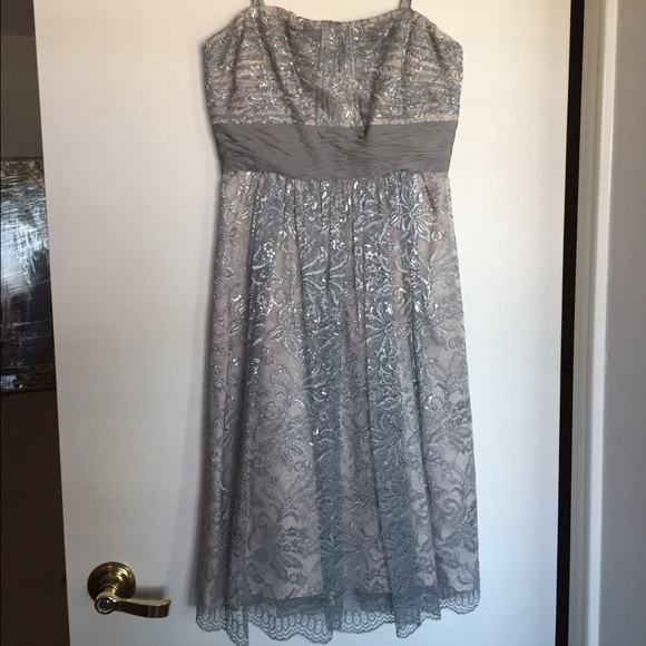BCBG silver dress