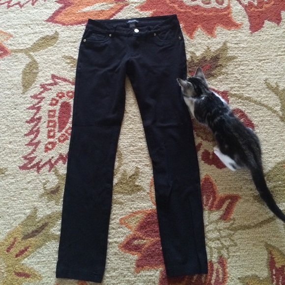 The black pants (not the kitten)