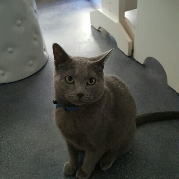 Lovely Nikita!...