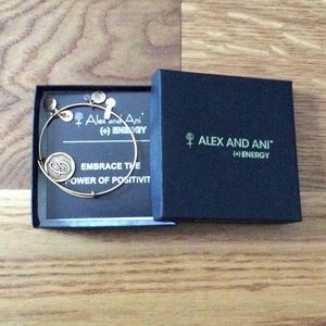 Alex and ani bracelet