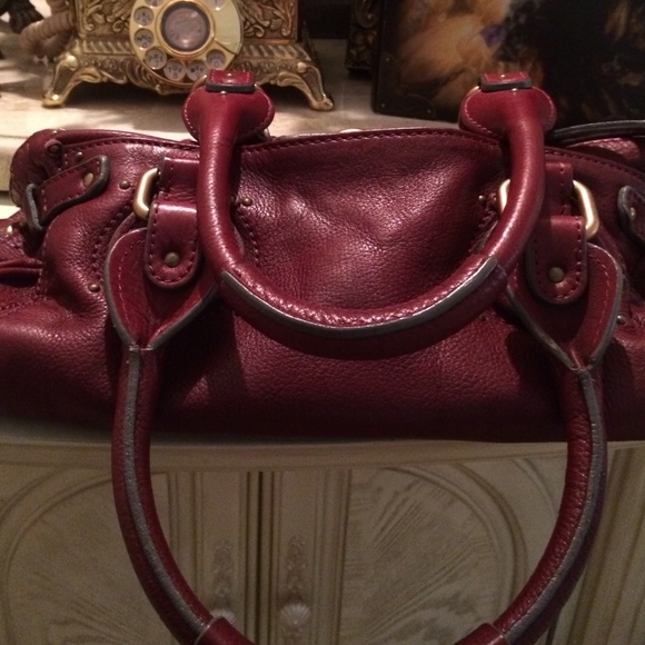 Chloe - Picture 3 of 4