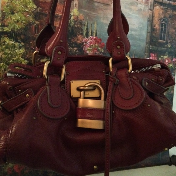 Chloe - Picture 4 of 4