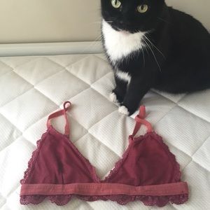 UO red lace bralette...ft. cat :-)