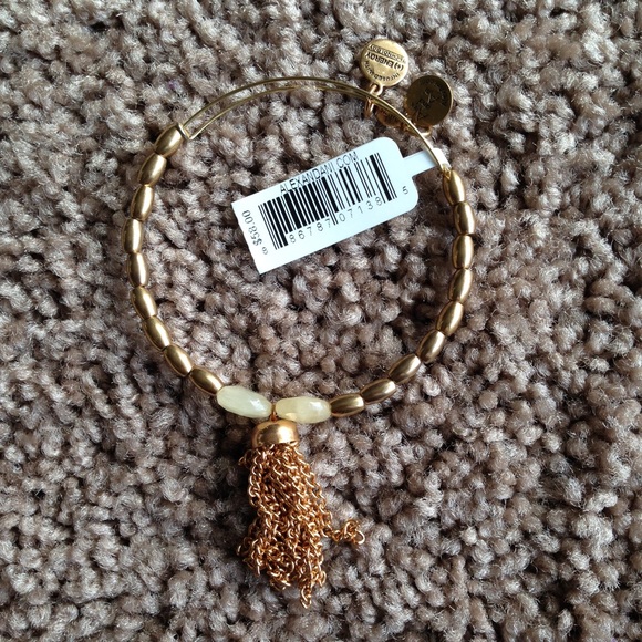 Alex and Ani (+)Energy Bracelet