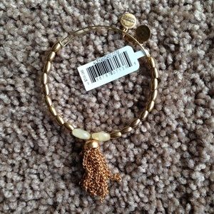 Alex and Ani (+)Energy Bracelet