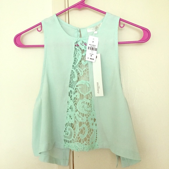 Crop top from LF