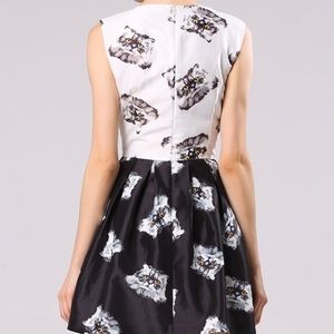 Realistic Cats Fit & Flare Dress