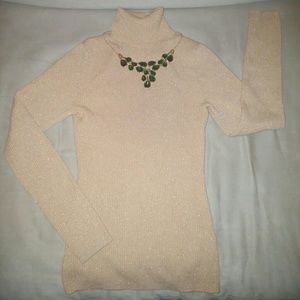 Beige and gold turtle neck - small petite
