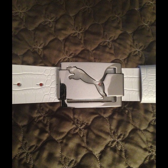 Belt.  New.   Never worn
