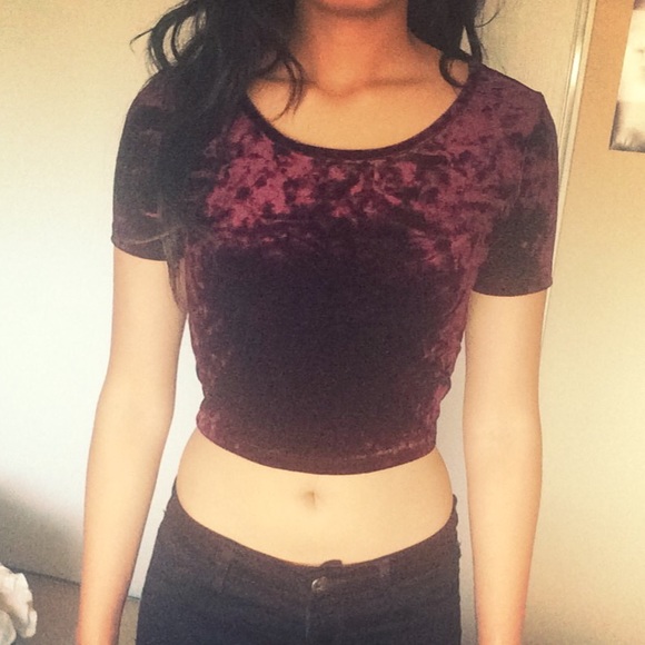 Velvet crop top