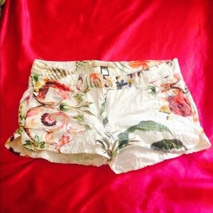 NEW Roberto Cavalli Shorts