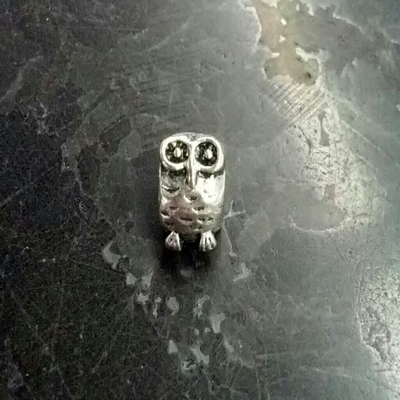NWOT Precious Owl Charm