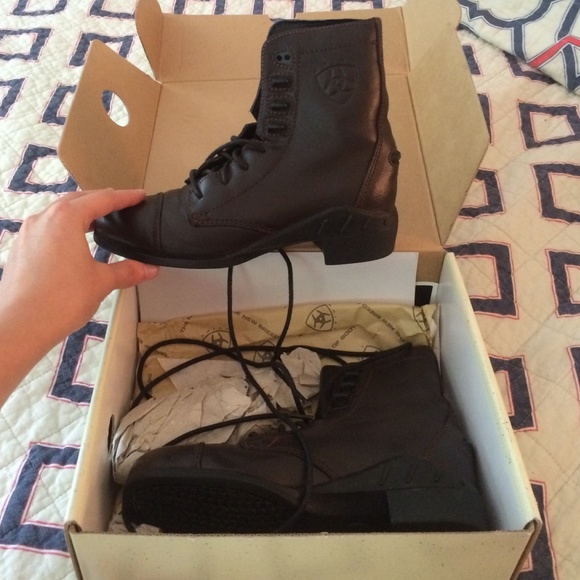 Ariat youth paddock boots