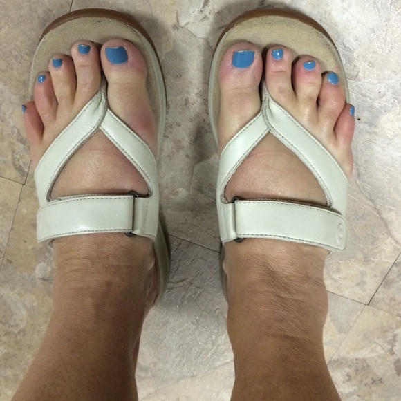 rockport flip flops mens