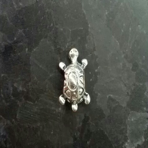 Turtle Charm