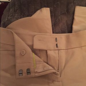 ann Taylor ankle length pants LOFT