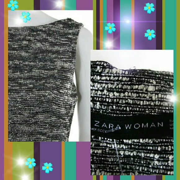 🎉SOLD🎉 New Zara Skater dress S - Picture 3 of 3