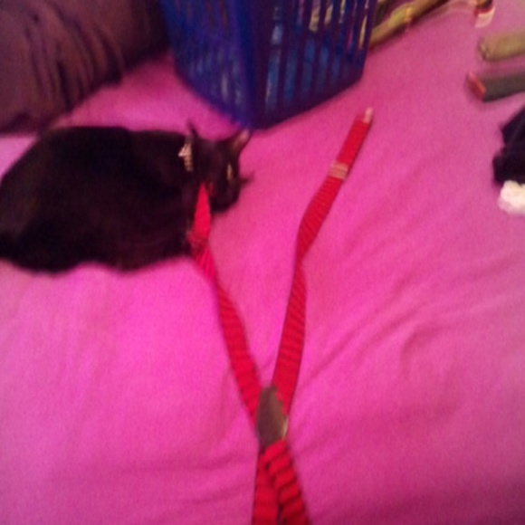 Suspenders
