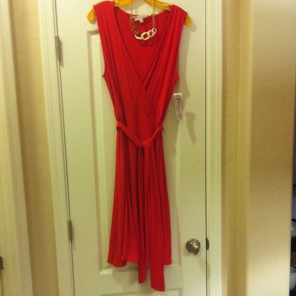 🎉HP2X🎉 Little Red Dress - Picture 3 of 4
