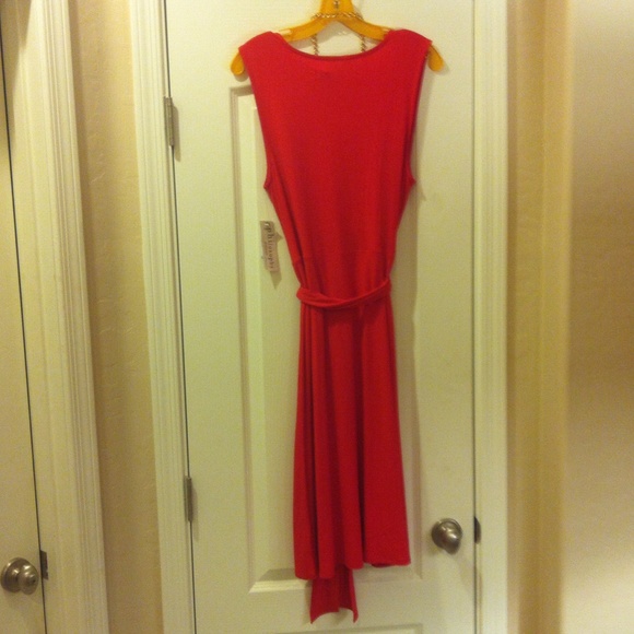 🎉HP2X🎉 Little Red Dress - Picture 4 of 4