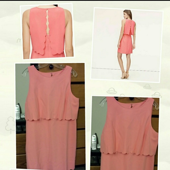 Crop Illusion dress with scallop trim.