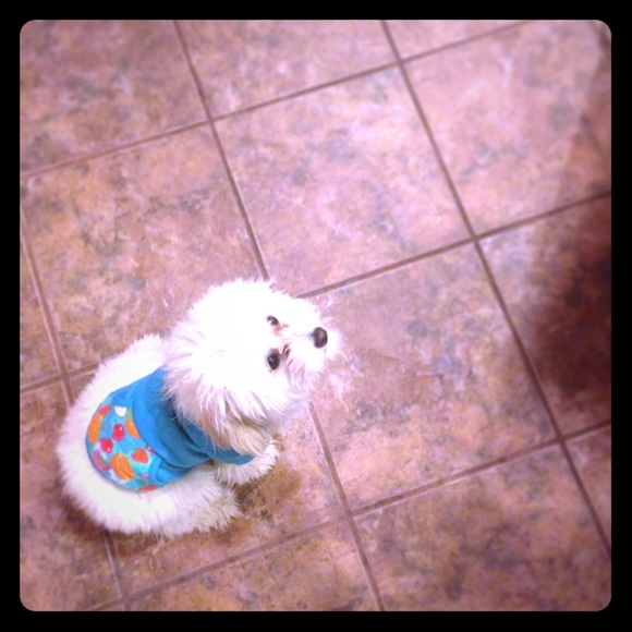 Bundle of heels wedges and bandeau