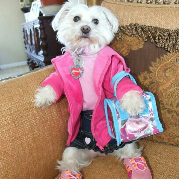 Accessories - 20% To 50% Already Marked Down Items