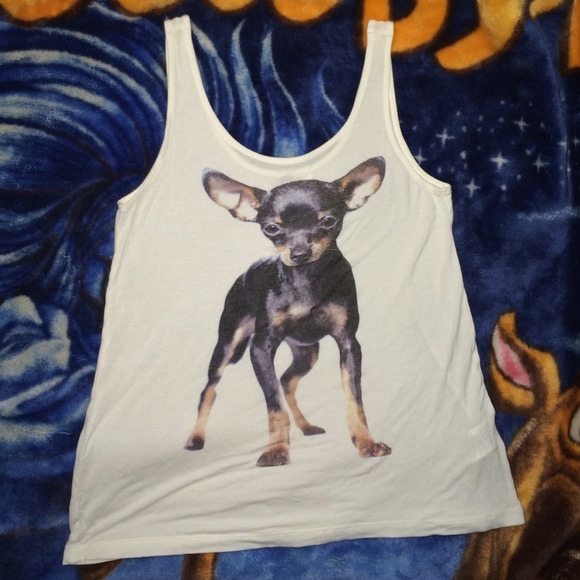 preloved chihuahua