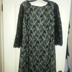 Adrianna papell lace overlay cocktail dress sz16w