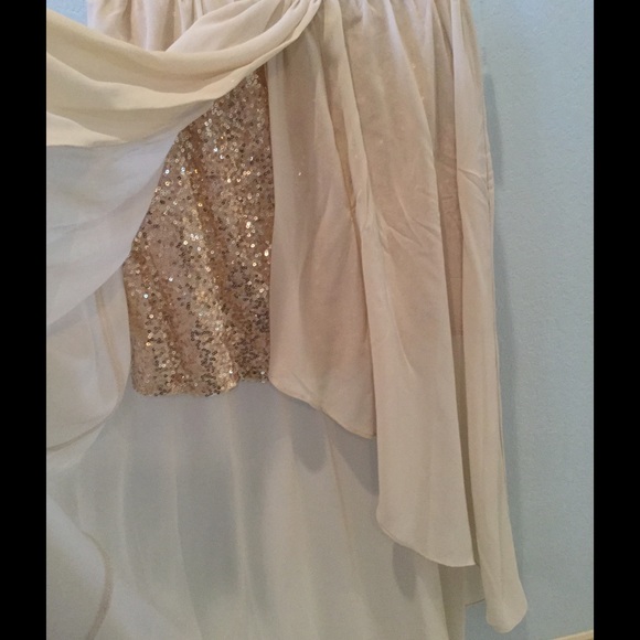 Sheer Hilo skirt w/ sequined miniskirt underneath. - Picture 2 of 4