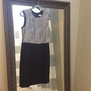 NWT!! Loft sheath dress