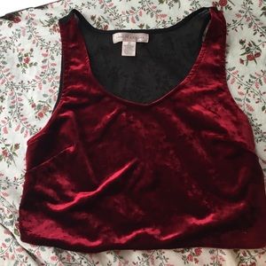 Cute velvet crop top from Urban Outfitters