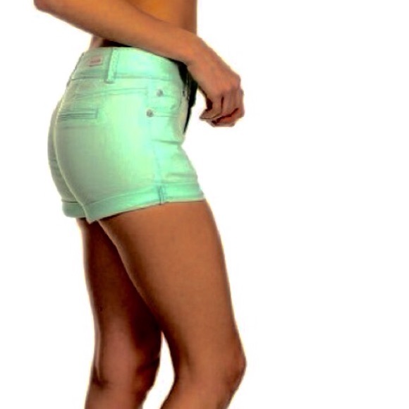 Express Pants - EXPRESS SHORTS IN DARK MINT