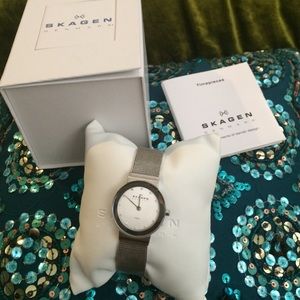 Skagen Women's Silver Dial Mesh Bracelet Watch