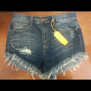 High Waist Shorts