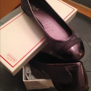 Coach Women's Cecile Ballet Flats
