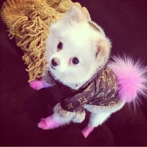 louis vuitton dog jacket