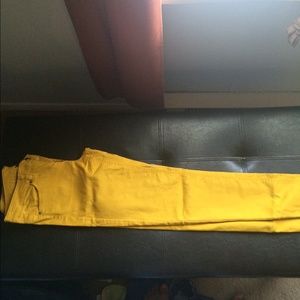 H&m mustard gold pant