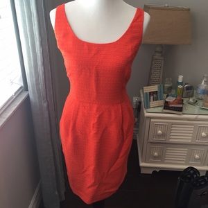 Ann Taylor Coral Textured Sheath Dress - BRAND NEW