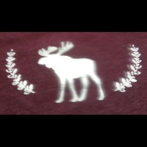 NWOT Maroon Abercrombie kids t-shirt (kids XL)