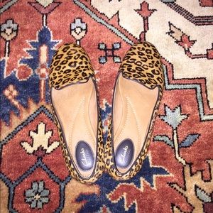 Leopard Valley Lounge Flat