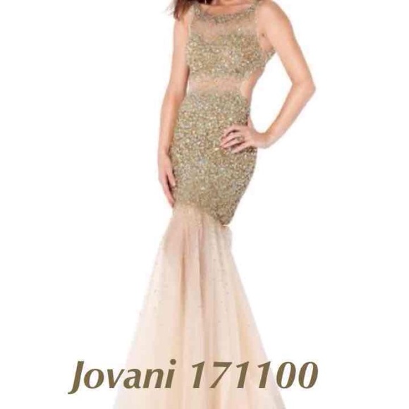 Jovani 171100 Gold Dress - Picture 3 of 3