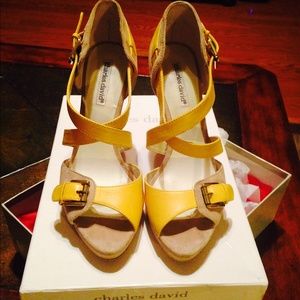 Authentic Charles David Heels