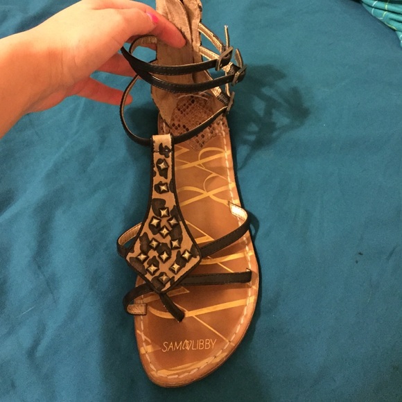 Cheetah!