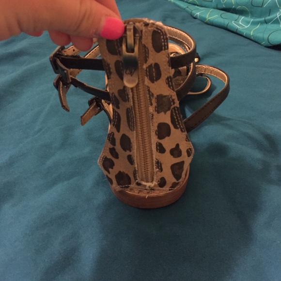Cheetah! - Picture 2 of 3